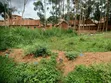 4 Acres Land for Sale/Lease in Kyengera, Main Road - 3