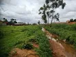 4 Acres Land for Sale/Lease in Kyengera, Main Road - 4
