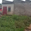 1-Bedroom Apartment for Sale in Kabanana House, Kamengo - 2