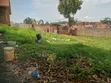 Land for Sale in Kyengera Near Main Road - 1