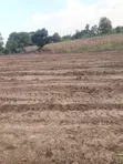 Plots for Sale in Nkokonjeru, Luwero District - 2