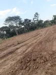 Plots for Sale in Nkokonjeru, Luwero District - 3