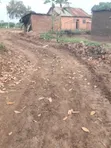 Plots for Sale in Nkokonjeru, Luwero District - 4