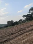 Plots for Sale in Nkokonjeru, Luwero District - 5