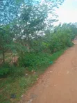 Bwerenga Plot Entb Rd - 1