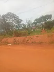 Bwerenga Plot Entb Rd - 3