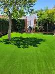 Home Balcony Classic Carpets - Ever Green - 2