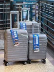 Travel Suitcase Set (3 Pieces) - 3