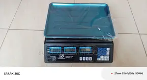Portable Digital Weighing Scale 40kg