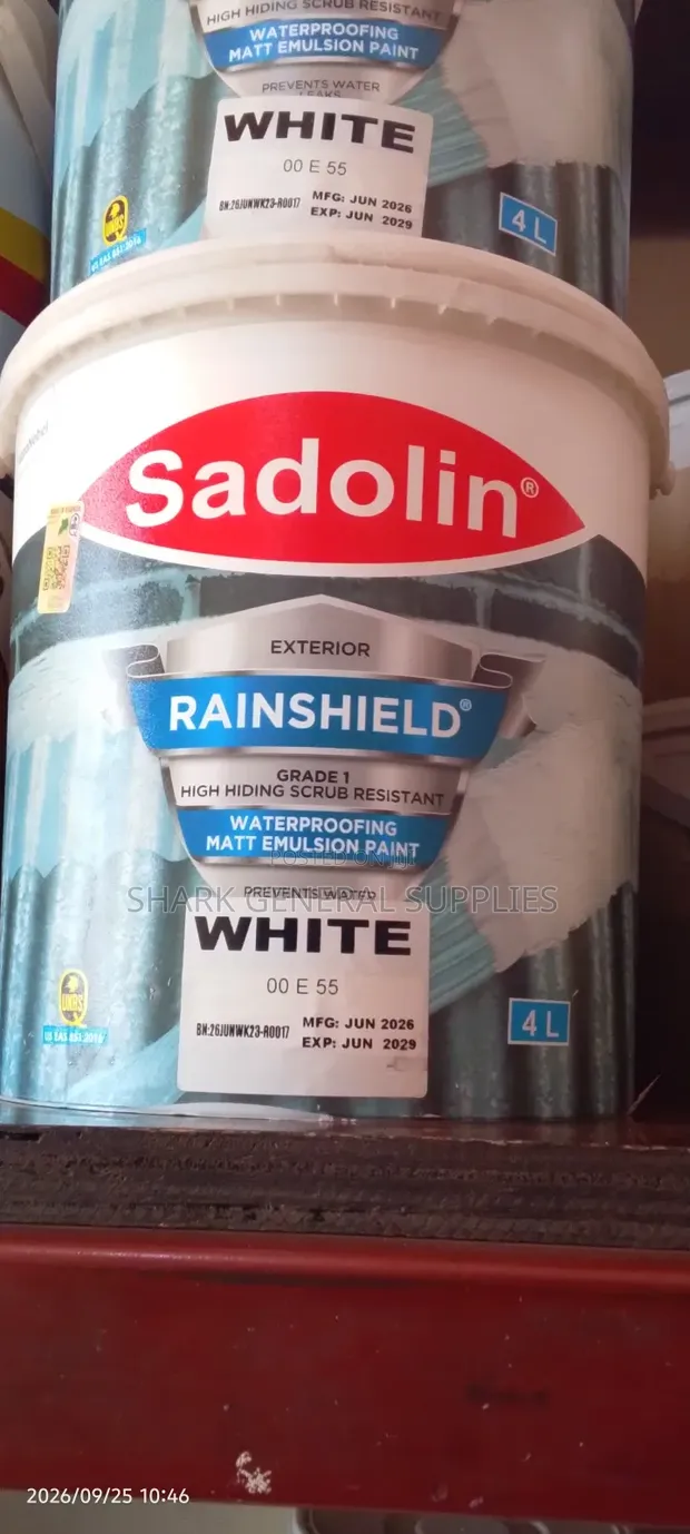 Sadolin Rainsheld Paint 4 Liters - 1