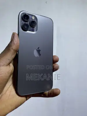 Apple iPhone 12 Pro Max 256GB Gray