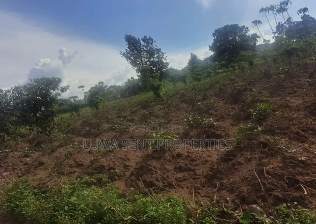 3 Sq Miles Kasangombe Nakaseke Private Mailo Land - 1