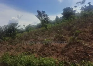 3 Sq Miles Kasangombe Nakaseke Private Mailo Land