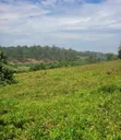 3 Sq Miles Kasangombe Nakaseke Private Mailo Land - 2