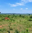 3 Sq Miles Kasangombe Nakaseke Private Mailo Land - 3