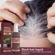 South Moon Herbal Gray Hair Reverse Essence Spray - 4
