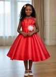 Elegant Girls Party Dress - 2