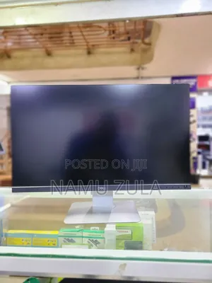 Dell 24-inch IPS Monitor