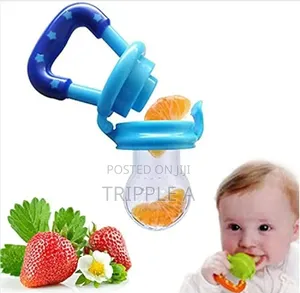 Fresh Fruit Baby Food Feeder