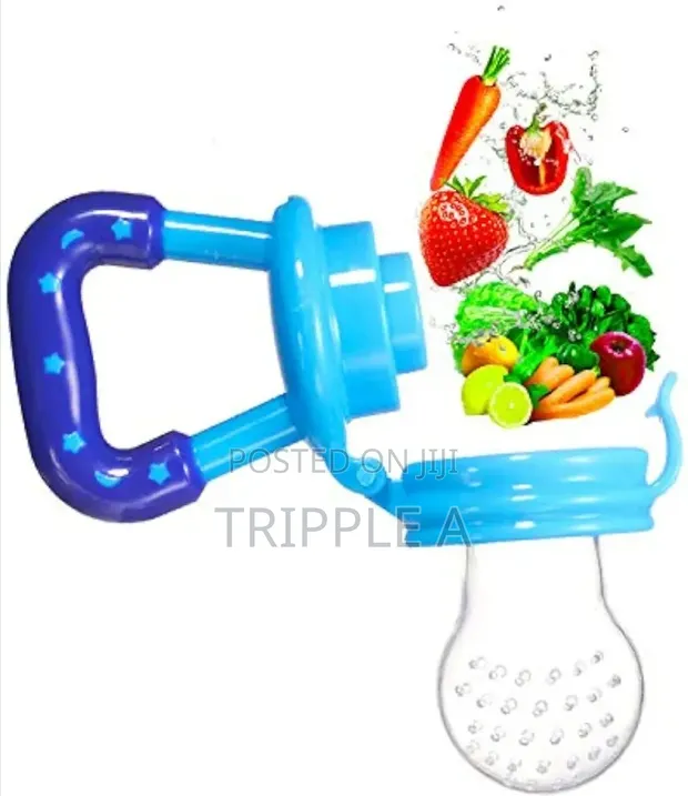 Baby Pacifier Fresh Food Nibbler - 1