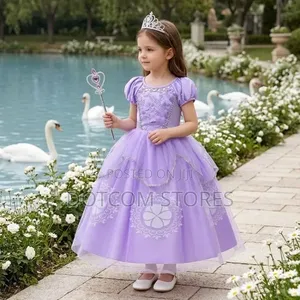 Princess Sofia Costume