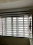 Window Zebra Blinds - 2