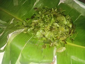 Miraa (Khat) for Sale