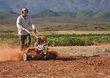 STIHL MH 710 Heavy-Duty Petrol Tiller - 4