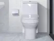 Alliance Master Toilet - 3