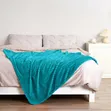 Warm and Soft Throw Blanket - Brand New - 2