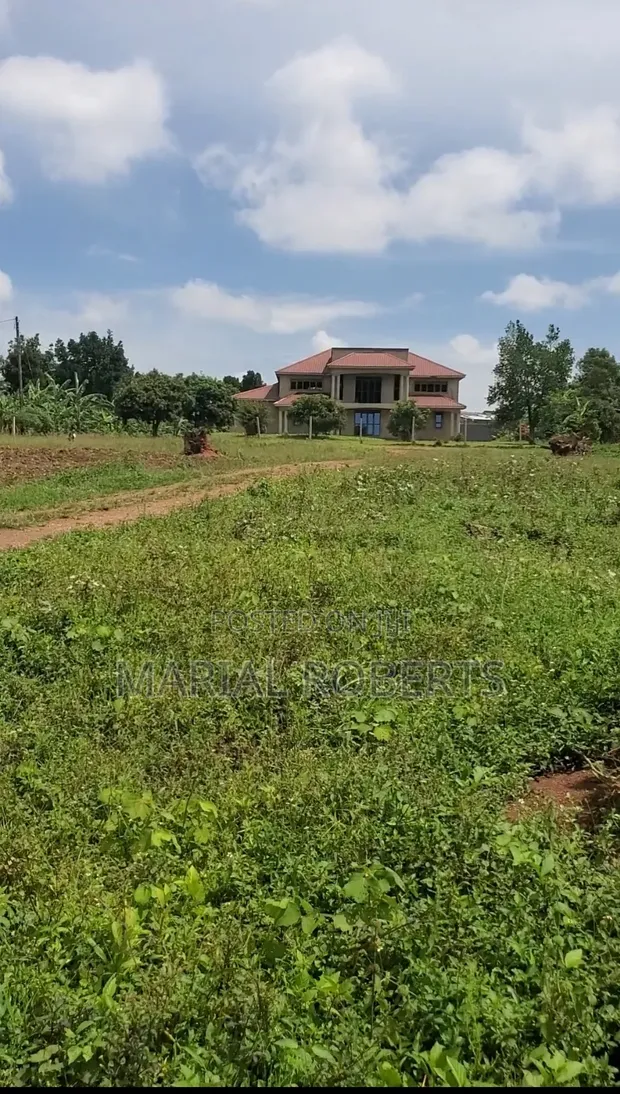 Prime Estate Plots for Sale in Buwambo, Wakiso - 1