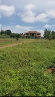 Prime Estate Plots for Sale in Buwambo, Wakiso - 1