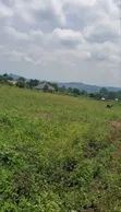 Prime Estate Plots for Sale in Buwambo, Wakiso - 3