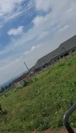 Prime Estate Plots for Sale in Buwambo, Wakiso - 4