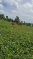 Prime Estate Plots for Sale in Buwambo, Wakiso - 5