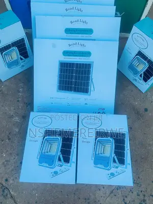 100W Solar Flood Light