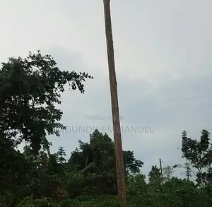 0.5 Hectares Prime Land for Sale in Ntenjeru/Mukono