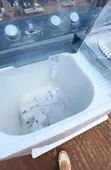 Hisense 12kg Twin Tub Washing Machine - 2