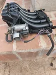 Volkswagen Golf 4 Fuel Nozzles, Throttle Body, Ignition Coil, Vacuum Pump - 2
