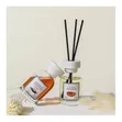 Air Fresheners - Gel & Liquids - 2