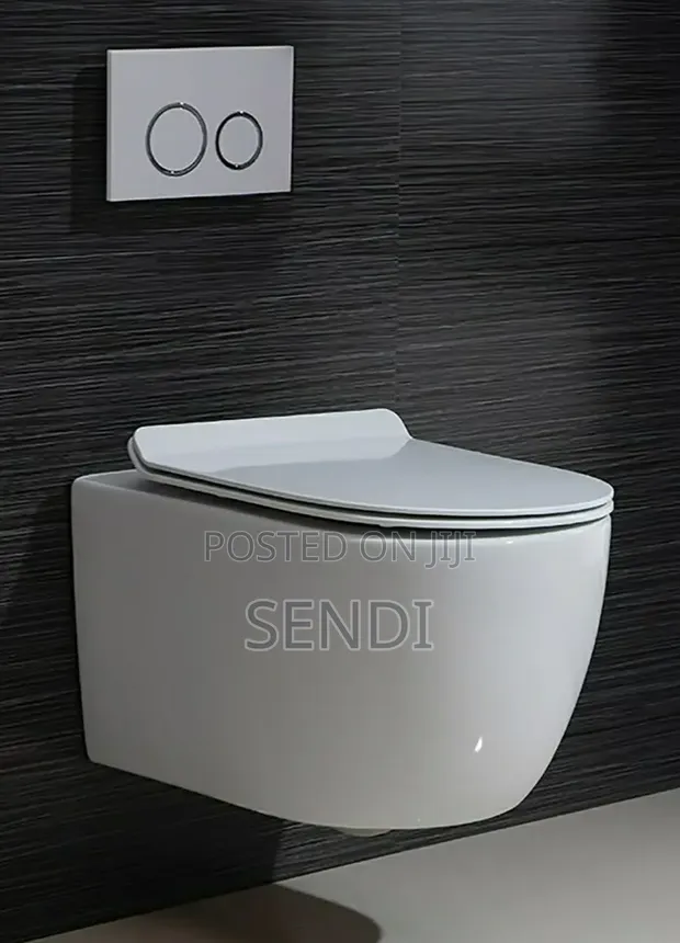 Concealed Toilet - 1