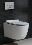 Concealed Toilet - 1