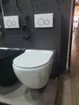 Concealed Toilet - 2