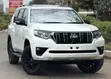 Toyota Land Cruiser Prado TX-L 4.0 Petrol 2021 - 1