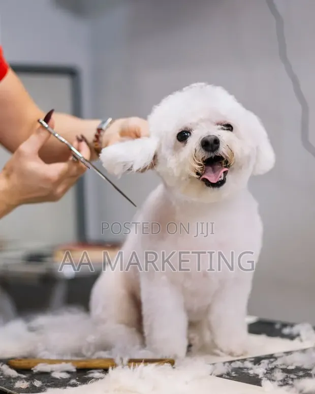 A&A Dog Groomers - Full Dog Grooming Services - 1