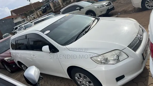 Toyota Corolla Fielder 2009 White - 1