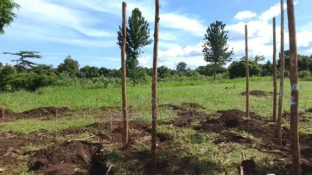 Land for Sale - 3000sqm near Lake Victoria - 1