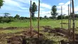 Land for Sale - 3000sqm near Lake Victoria - 1