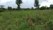 Land for Sale - 3000sqm near Lake Victoria - 2