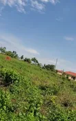 Land for Sale in Gayaza Dundu - 2